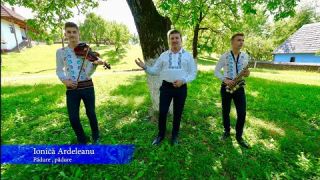 Ionica Ardeleanu-Padure,padure!!!